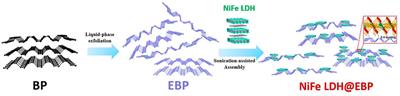 Interface-Coupling of NiFe-LDH on Exfoliated Black Phosphorus for the High-Performance Electrocatalytic Oxygen Evolution Reaction